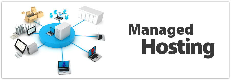 Managed Hosting service preview